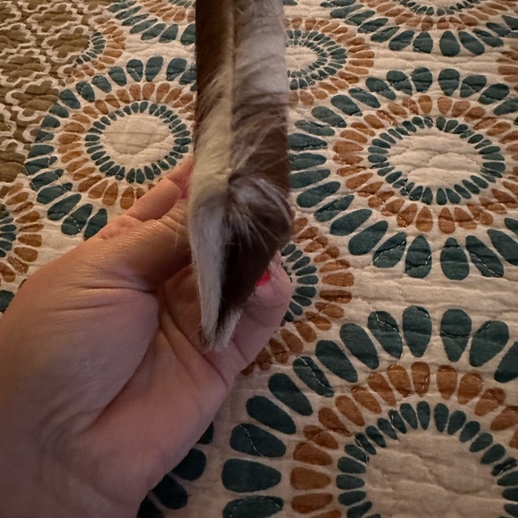 Western Wallet - Picture 4 of 6